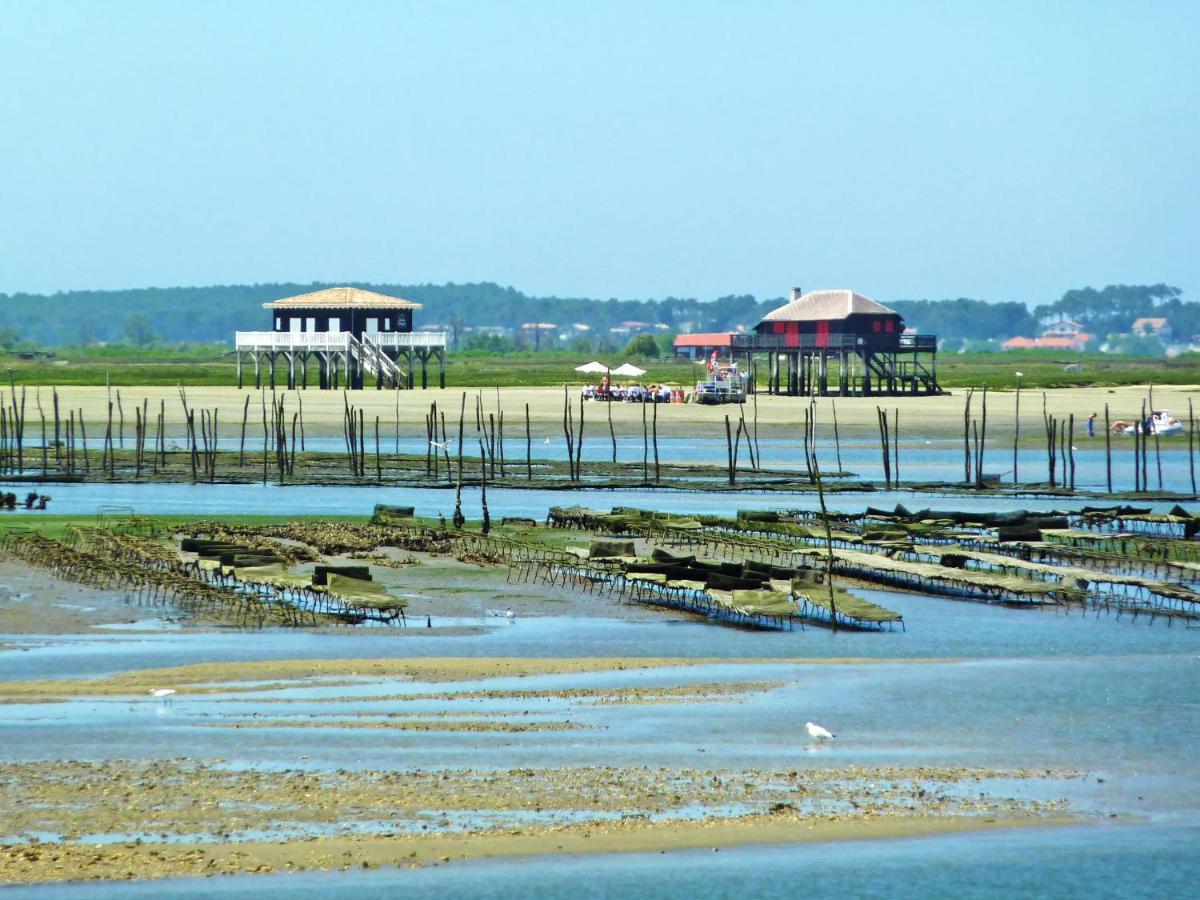 Apartment Les Tamaris By Interhome Arcachon Bagian luar foto